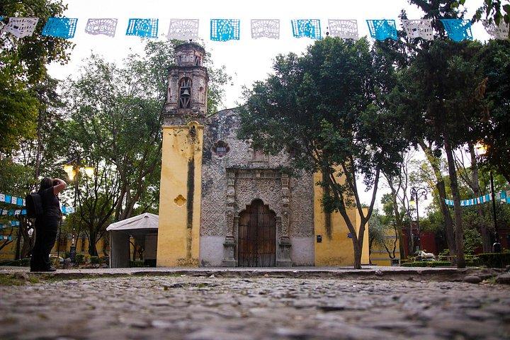 Frida Kahlo Museum : all the different options with an expert