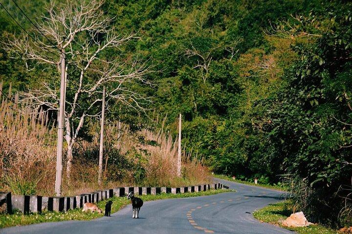 Hanói: Viagem de 2 dias ao Parque Nacional Cat Ba, Viet Hai, Baía de Lan Ha