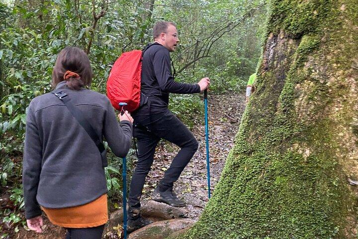ダラット ランビアン山トレッキング: 美しい景色を楽しみながらのハイキング アドベンチャー