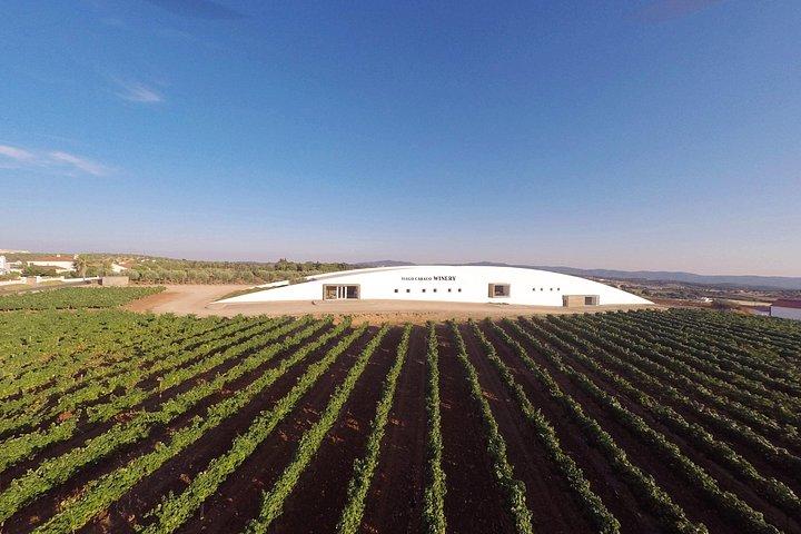1 Day Wine Tour Around Évora