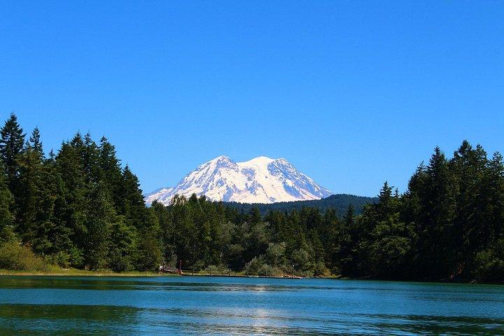 De Seattle:Randonnée dans le Mont Rainier Visite privée