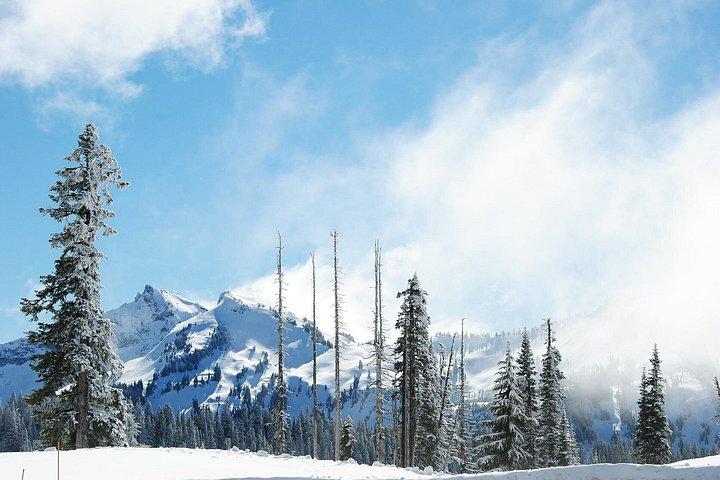 De Seattle:Randonnée dans le Mont Rainier Visite privée