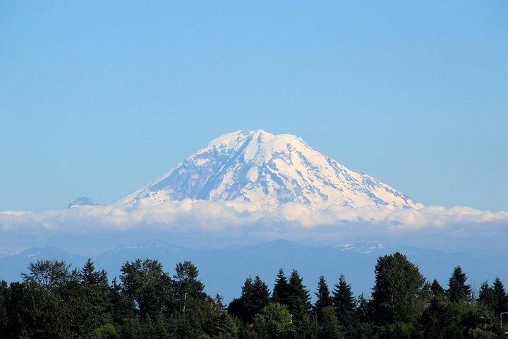 Vanuit Seattle:wandeling in Mount Rainier Privétour