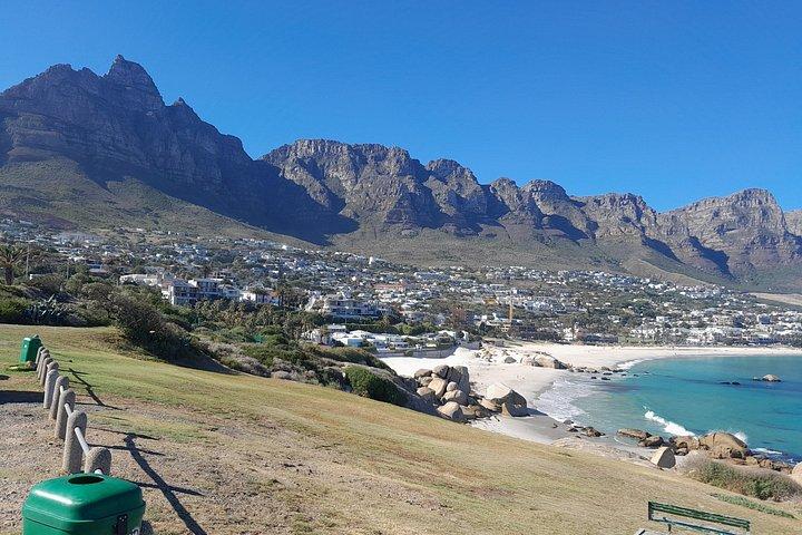 Table Mountain, cape peninsula& Penguins Colony Small Group Tour