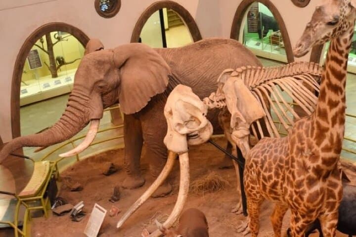 Private Guided Tour to Nairobi City Center
