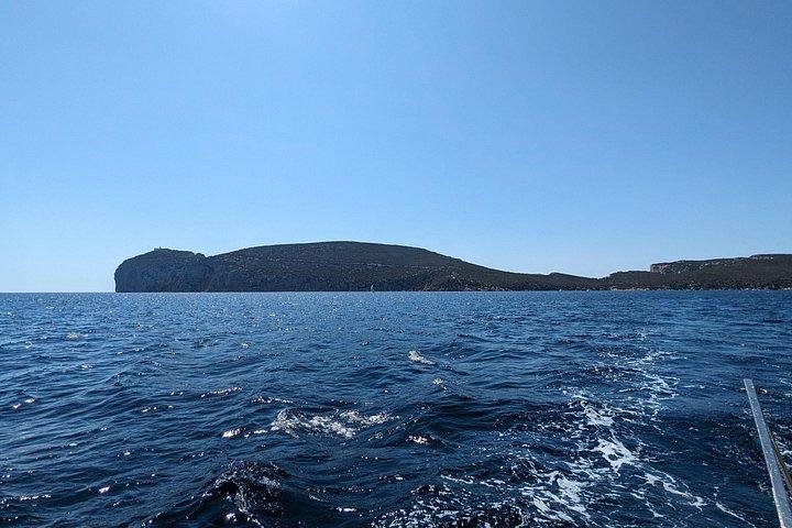 Esperienza in Barca a Vela verso Capo Caccia da Alghero