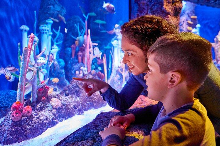 Billets d'entrée SEA LIFE New Jersey à American Dream