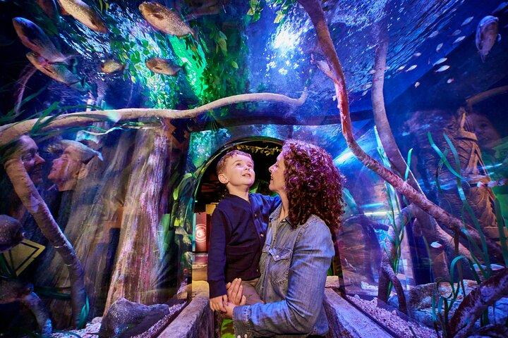 Billets d'entrée SEA LIFE New Jersey à American Dream