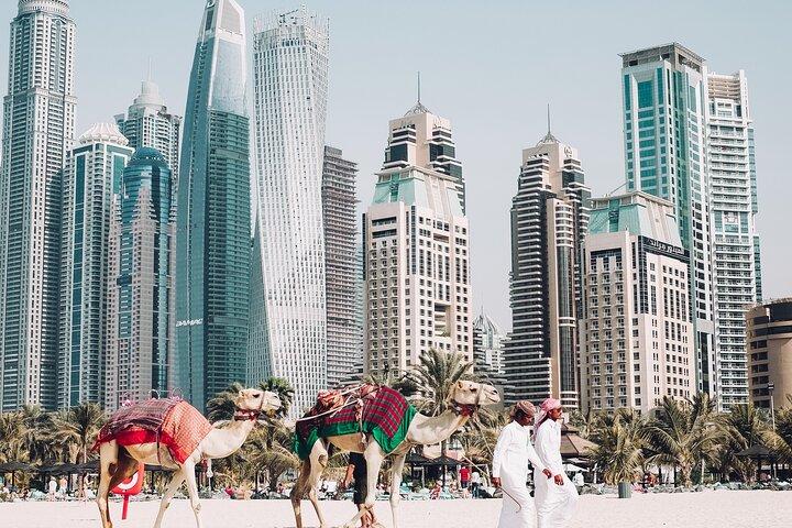 Au départ d'Abu Dhabi : Tour privé de Dubaï