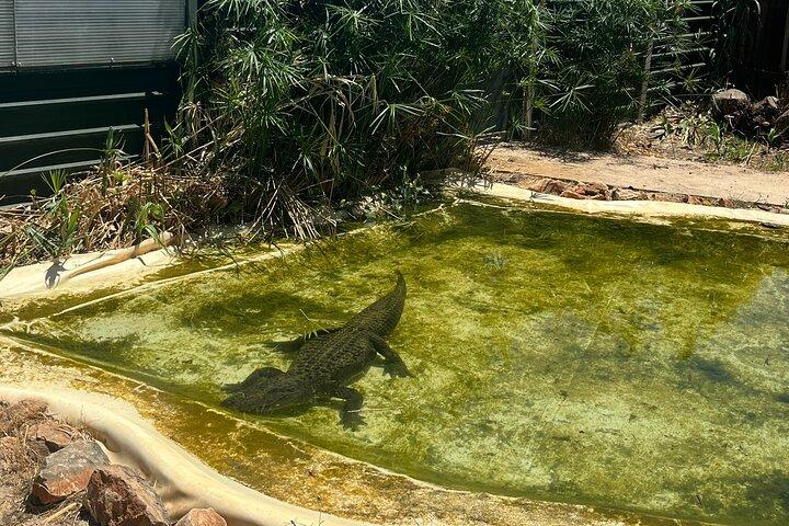 Albufeira Safari mit Krazy World Visit, Bones & Animals