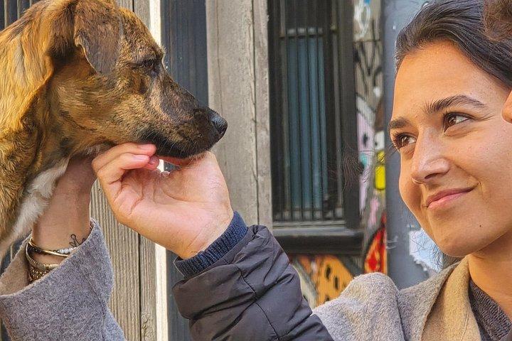 バルパライソのストリート アートとサンティアゴのカサブランカのワイン