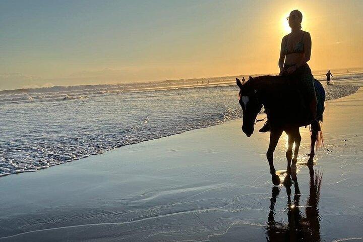 Bali Hest ridning seminyak strand Sunset Ride