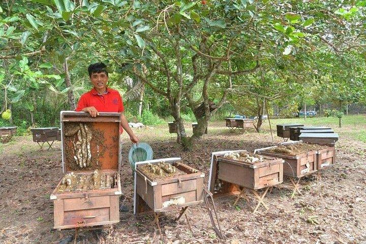 Phu Quoc Northern Nature & Kayaking Tour