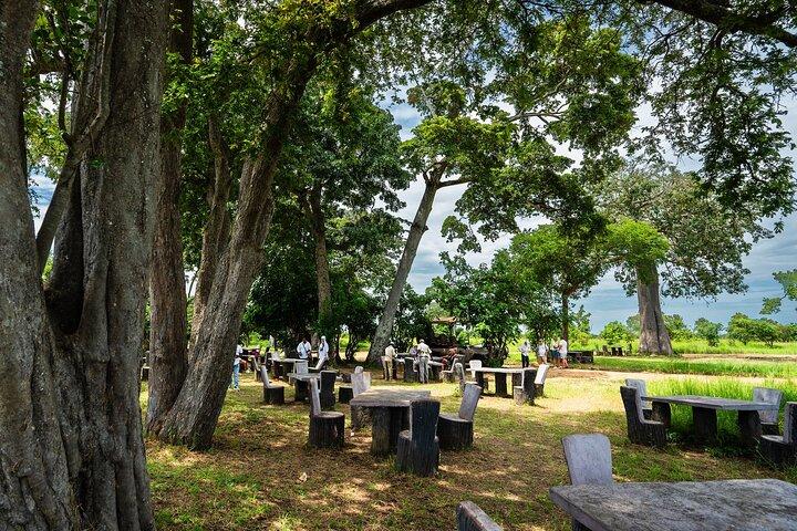 ザンジバルから: フライトと食事付きミクミサファリ日帰り旅行