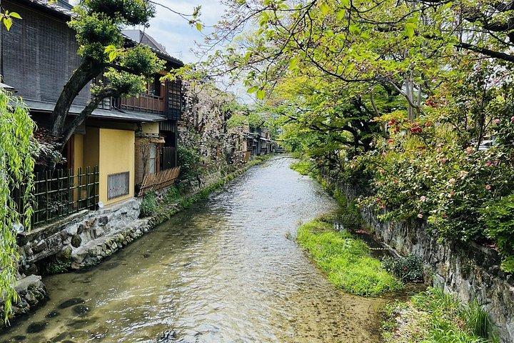 京都祇園花街ウォーキングツアー - 芸者の物語