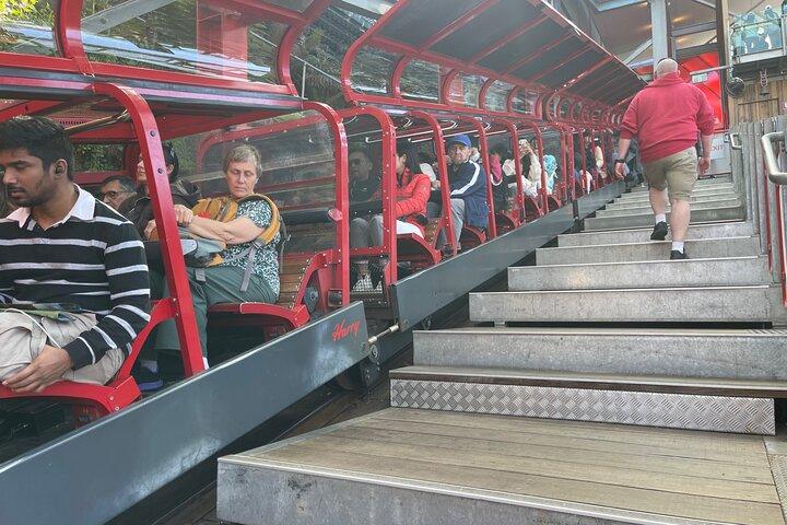 Privat dagstur til Featherdale, Scenic World og Three Sisters