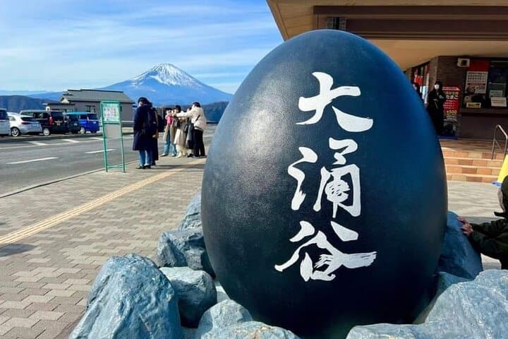 Mt. Fuji Hakone Ropeway and Oshino Hakkai Day Tour