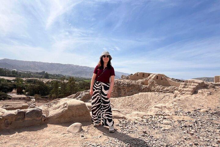 2 Dagen Paracas Ica en Nazca-lijnen vanuit Lima