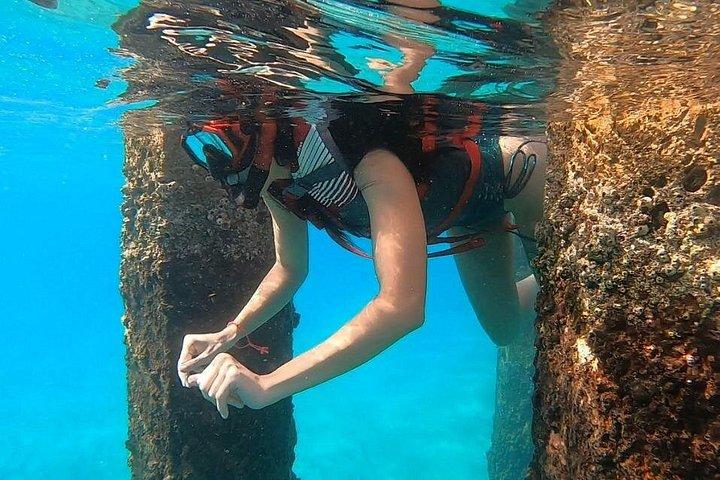 San Juan: VIP Snorkeling with Turtles Tour