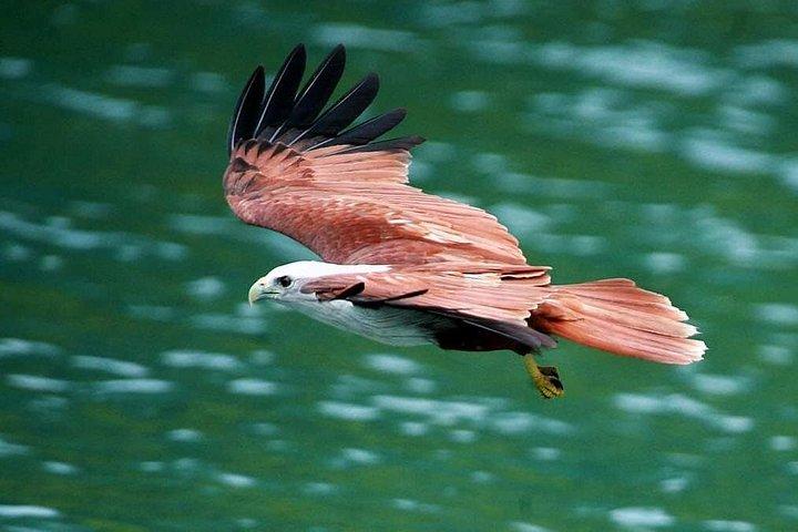 Exclusive Group Tour - Langkawi Cable Car N SkyBridge Experience