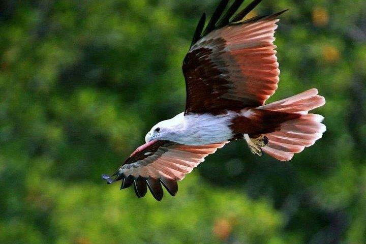 Exclusive Group Tour - Langkawi Cable Car N SkyBridge Experience