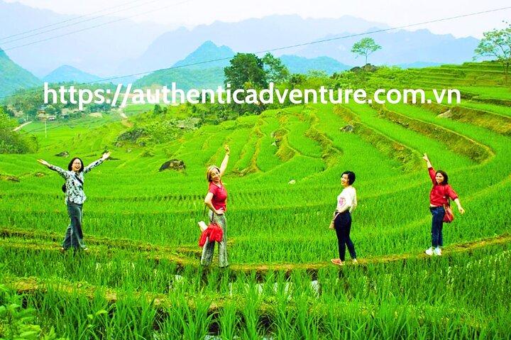 9-daagse Vietnam-tour | Ontdek het noorden en midden | Toppakketten