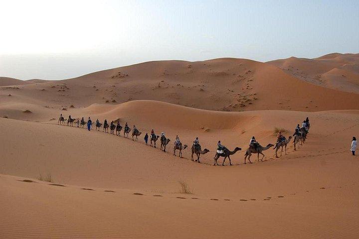 Camel Trek Bivouac Merzouga