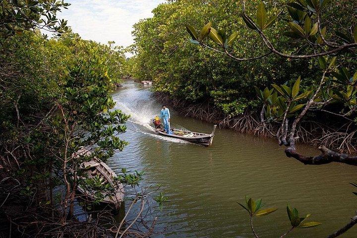 Can Gio Monkey Island and Mangrove Biosphere Full-Day Tour