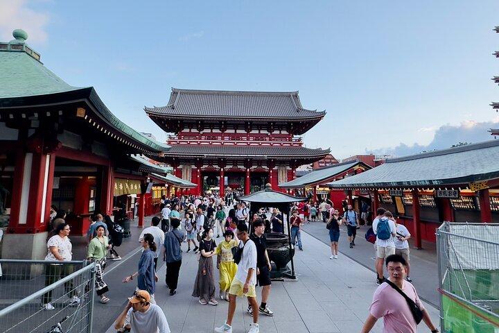 英語を話すドライバーによる東京プライベートツアー