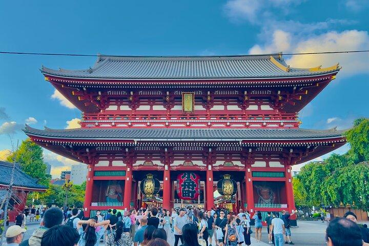 英語を話すドライバーによる東京プライベートツアー