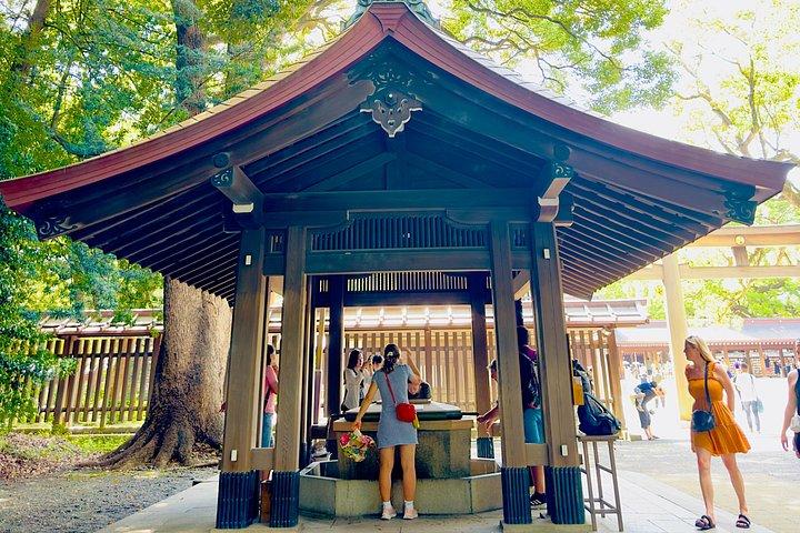 Tokyo private tour with English speaking driver