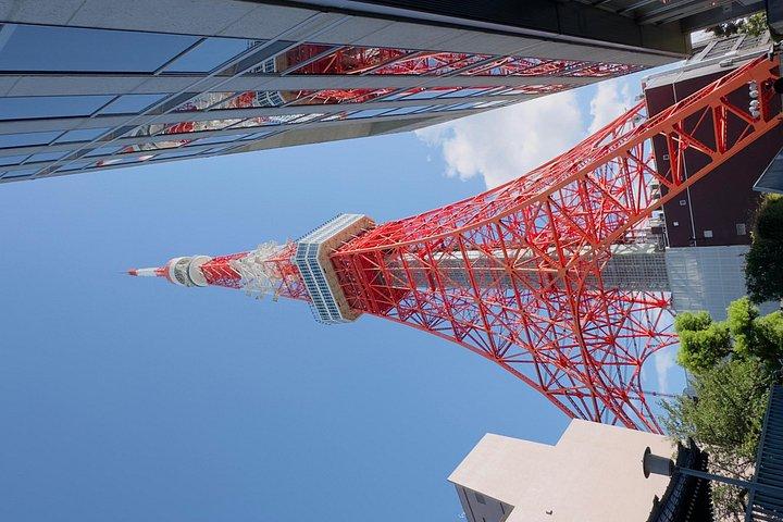 Tokyo private tour with English speaking driver