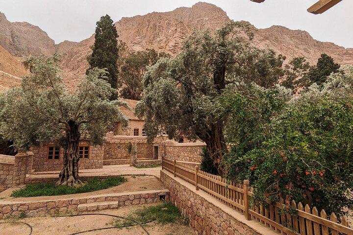 Heldagsvandring i St. Catherine's Monastery