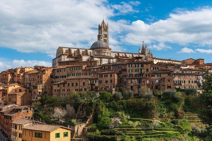 Exclusieve tour vanuit Florence: Siena, Chianti en San Gimignano