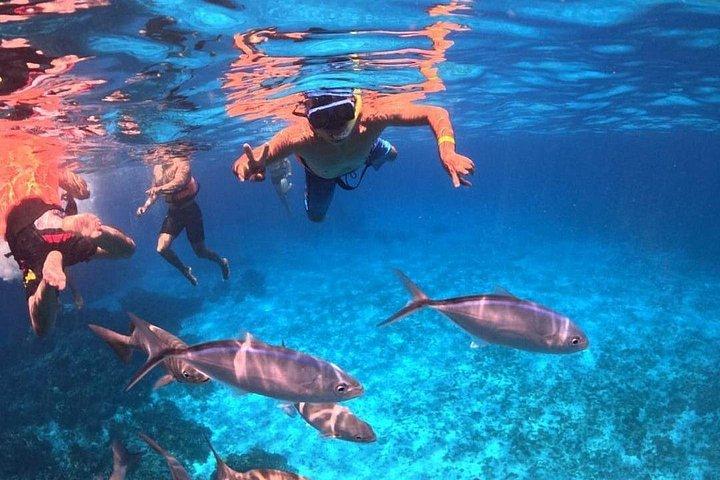 コスメル島のエル シエロ シュノーケリング アドベンチャー