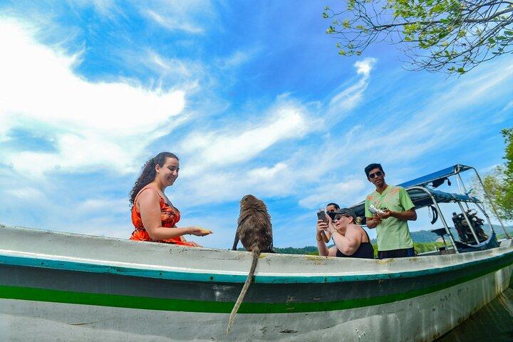 Halvdags Mangrove Kajak Adventure Tour fra Koh Lanta