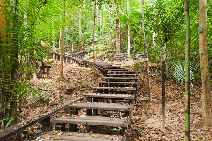 クアラルンプール発タマン・ネガラ国立公園日帰り小旅行