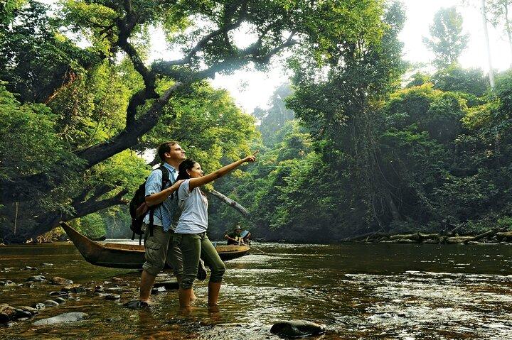 Taman Negara Nationalpark Tagesausflug von Kuala Lumpur