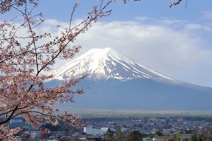 Mt Fuji & Hakone Private Tour from Tokyo: Return by Bullet Train