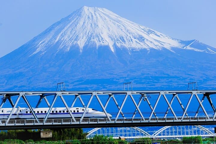 Mt Fuji & Hakone Private Tour from Tokyo: Return by Bullet Train