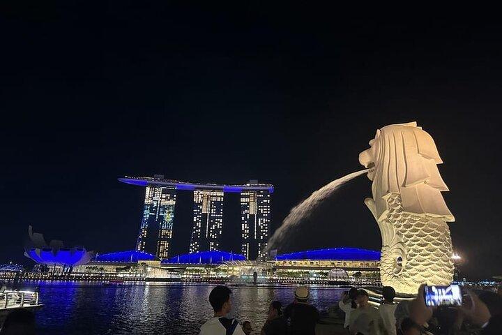 Privéwandeling op maat door Singapore