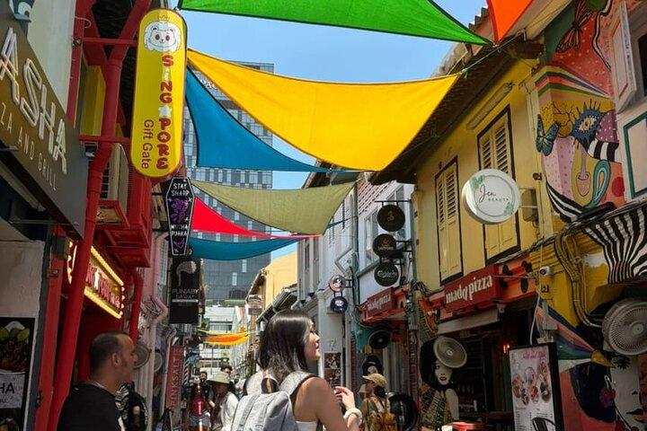 Privéwandeling op maat door Singapore