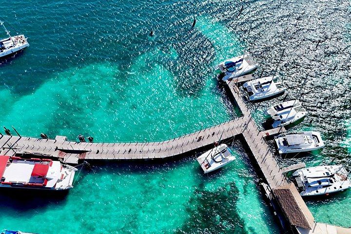 カンクン・カタマランからイスラ・ムヘレス島＋シュノーケル、オープンバー＆ランチ