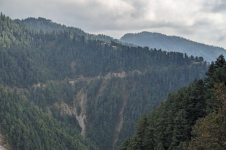 Excursión privada de un día a Nathiagali desde Islamabad con recogida