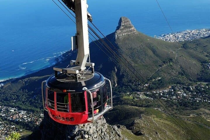 Private Guided Tour to Table Mountain and Cape Point with Penguin