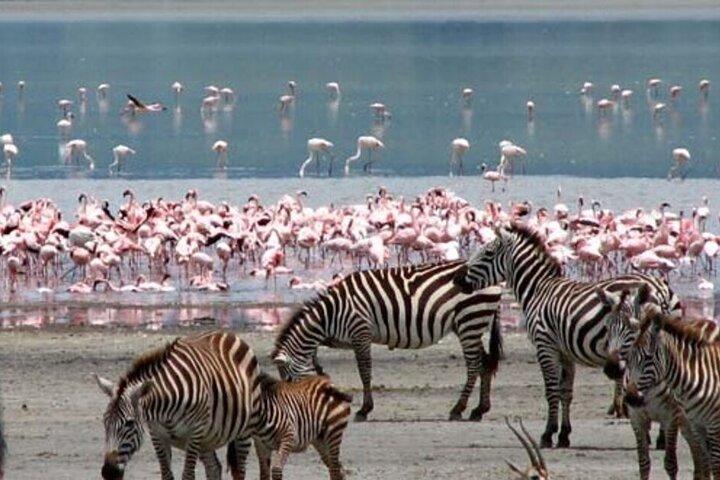 Private Lake Nakuru National Park Full Day Tour from Nairobi