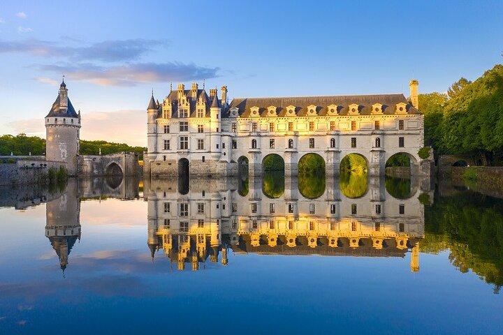 Loire Chambord Chenonceau Da Vinci Castle Privat rundtur från Paris