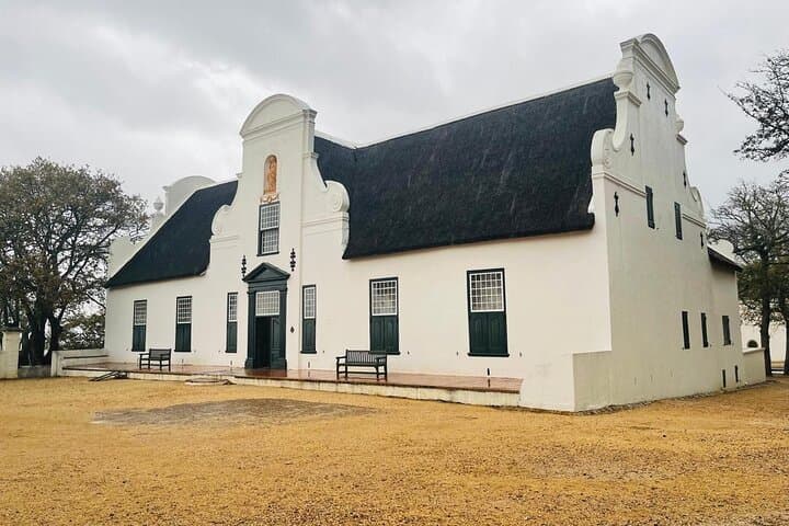 Full Day of Wine Tasting Tour in Stellenbosch and Franschhoek