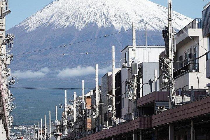 雄大な富士山： プライベート日帰りツアー