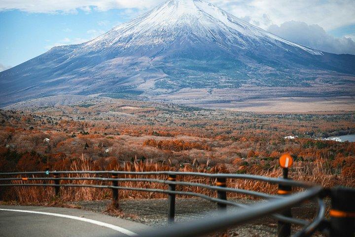 雄大な富士山： プライベート日帰りツアー